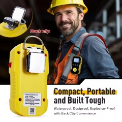 BH-90A High Precision Portable Single Gas Analyzer Gas Detector Used for Industry