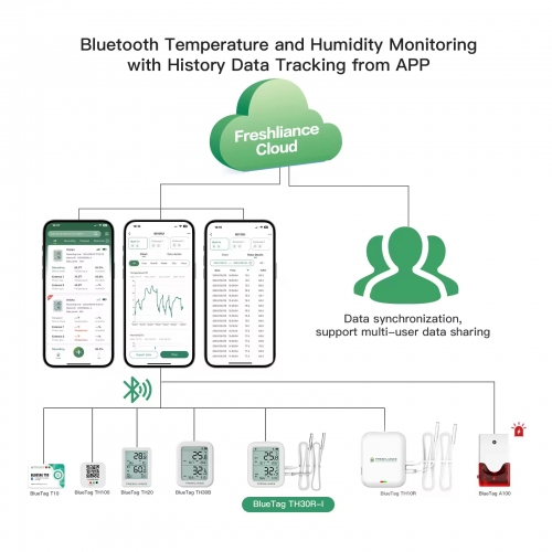 BlueTag TH30B/TH30R Bluetooth Temperature Humidity Data Logger with ...