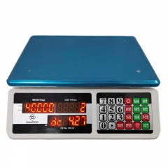 DWS-518 30kg/40kg Digital Bench Scale High Accuracy 2g/5g/10g LED/LCD Display ABS Material OEM Customizable