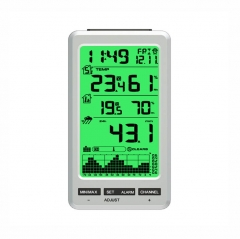 FT0206 RF Weather Station